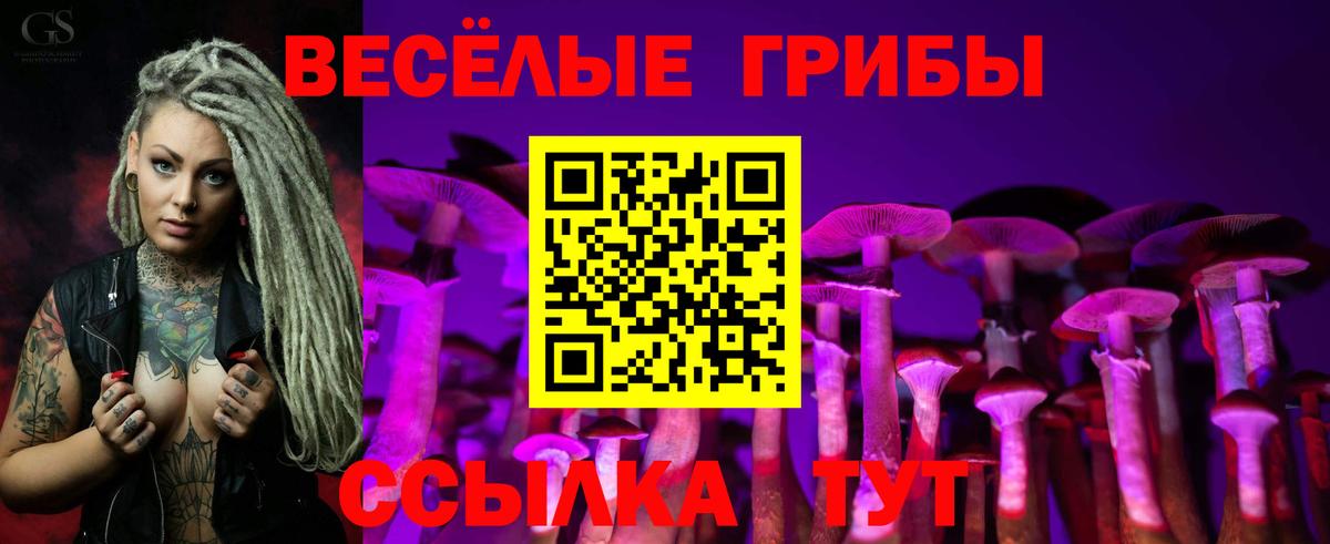 Коряжма  Псилоцибиновые грибы Psilocybe  как найти закладки  Вход с VPN 